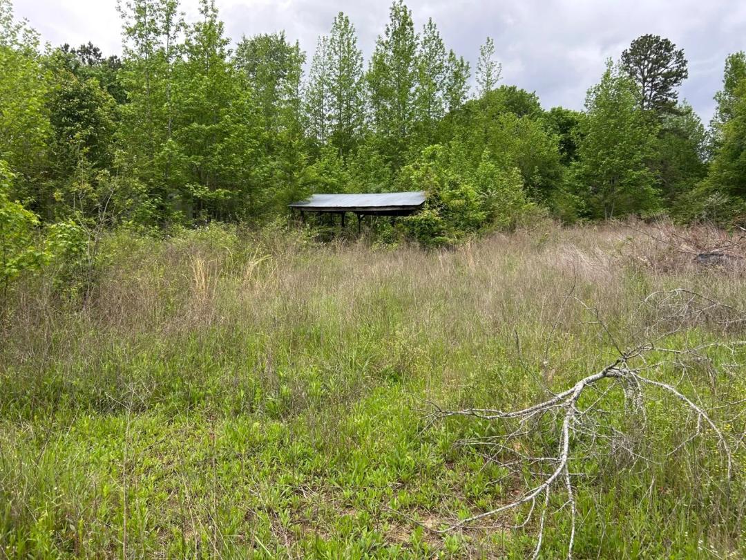 4 Acres - Scenic Land Opportunity in Western Arkansas