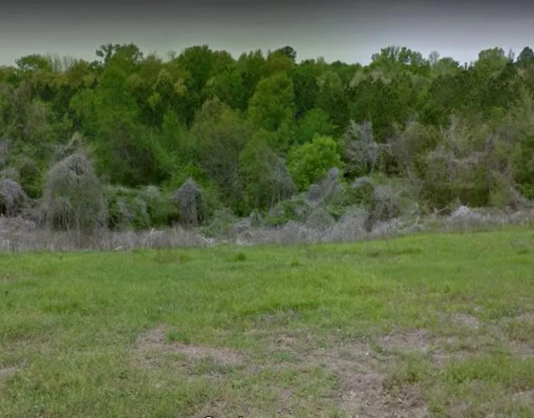  Delightful Tallahatchie Mississippi Partially Cleared Half-Acre Lot 