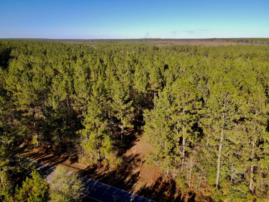 56.7± Acres | Stone County, Mississippi | New Hope Road