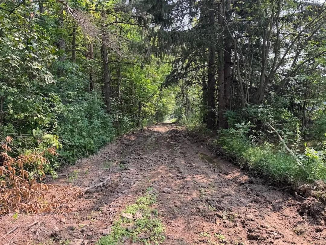 59 acres Hunting Land and Recreational Land with Owner Financing in East Concord NY Allen Road