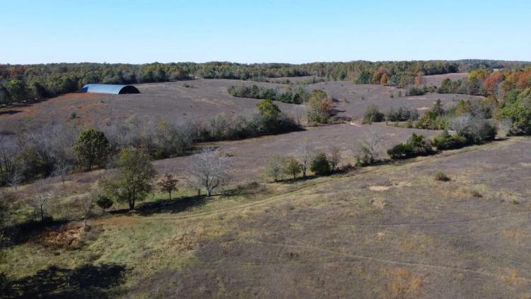 127 rural acres +/- with live water, pasture and woods for sale in Ripley County, MO