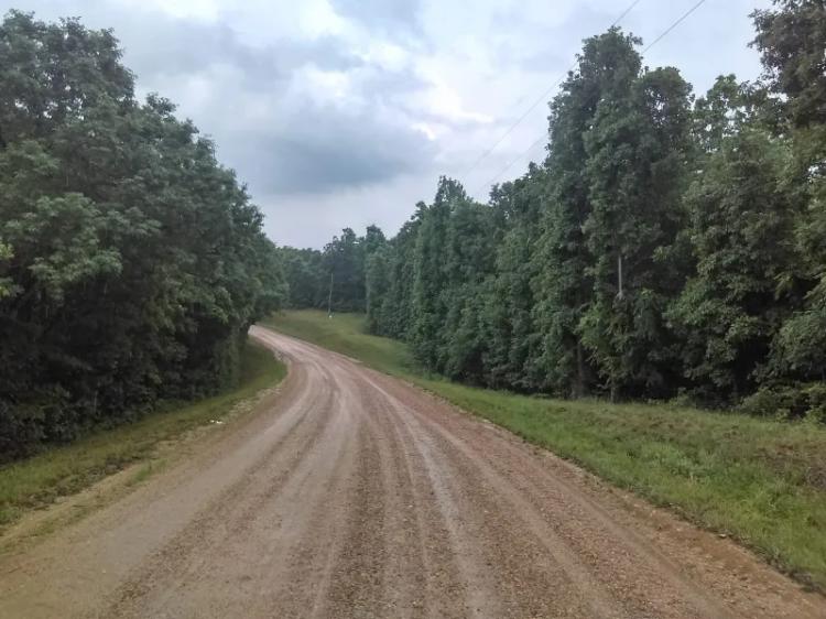 Timber Tract & Hunting Land For Sale in Clay County, AR