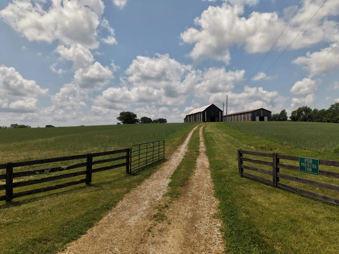 Lexington 54