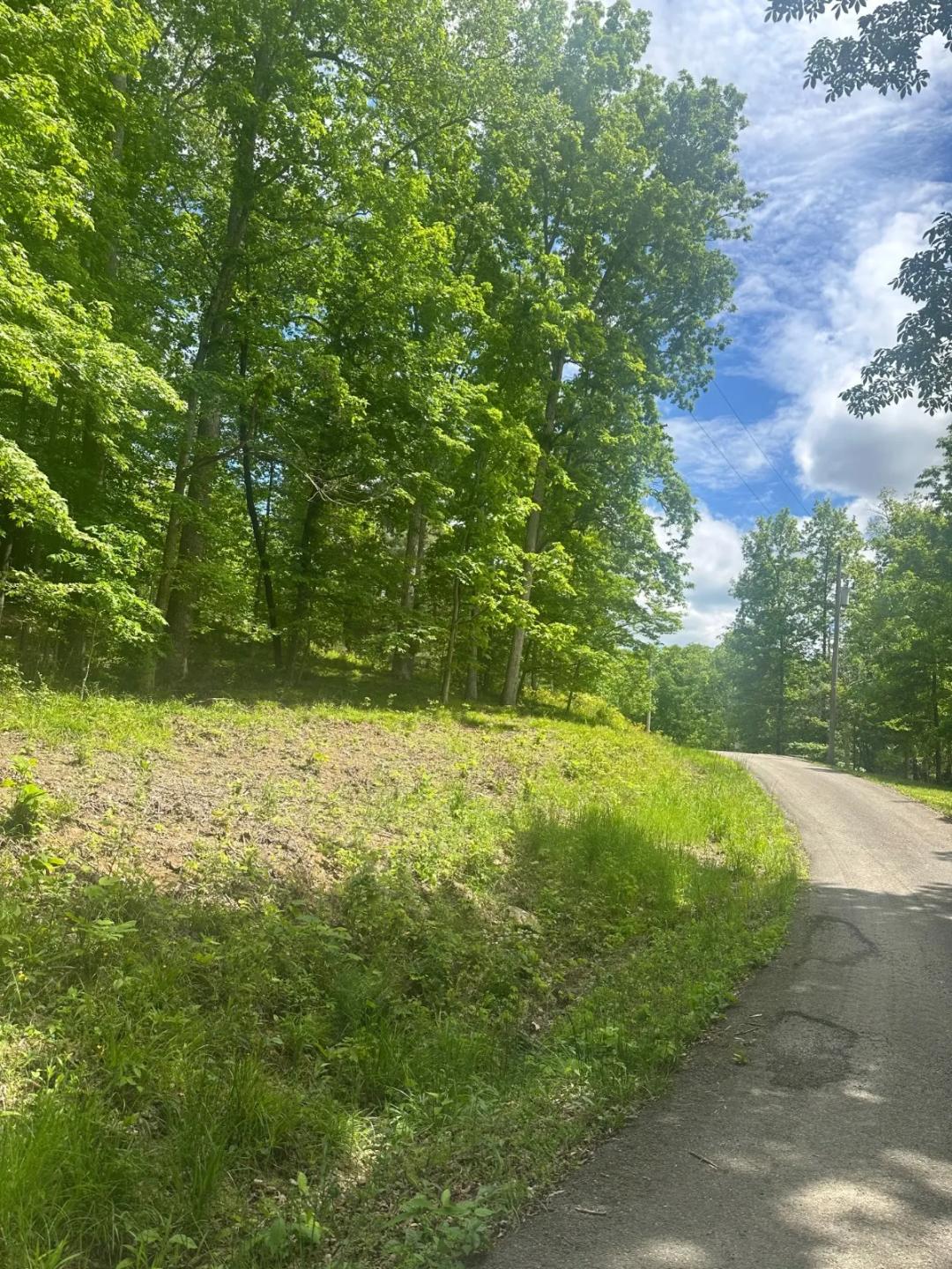 Scenic lake view lots near Lake Malone!