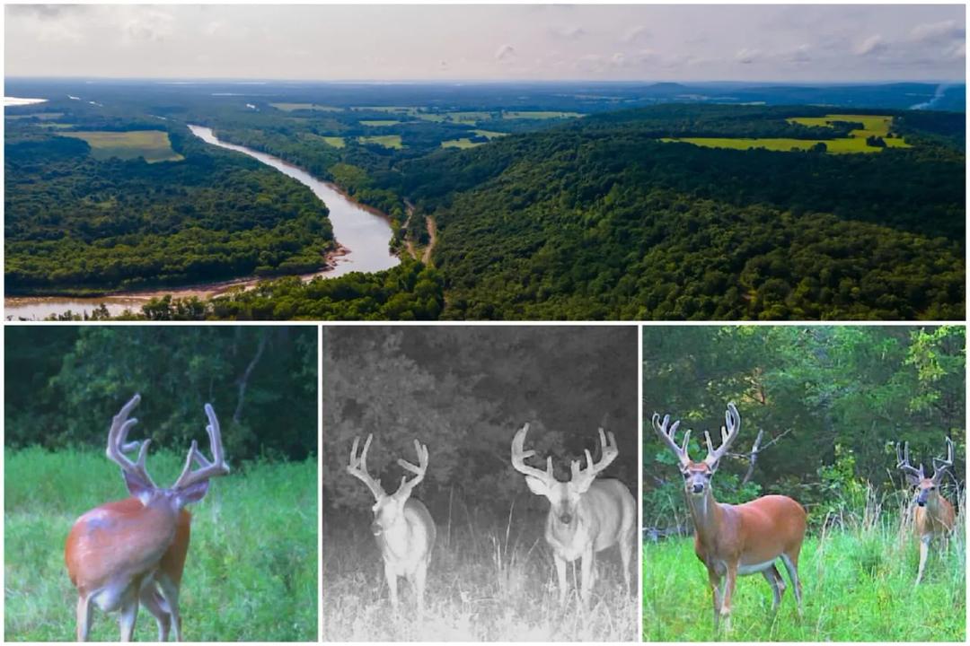 Rare 557-Acre Riverfront Retreat in the Heart of Oklahoma’s Horseshoe Bend