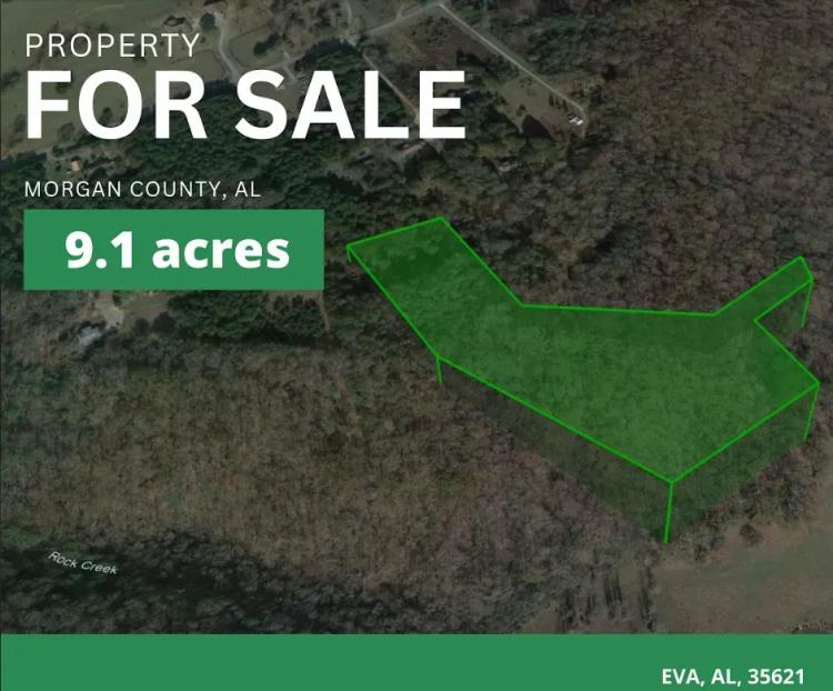 9.1 acres lot for sale in Morgan, AL - NO restrictions!!