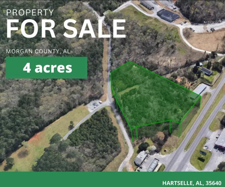 4 ac of Land For Sale in Hartselle, AL - Have your Peace and Quiet!