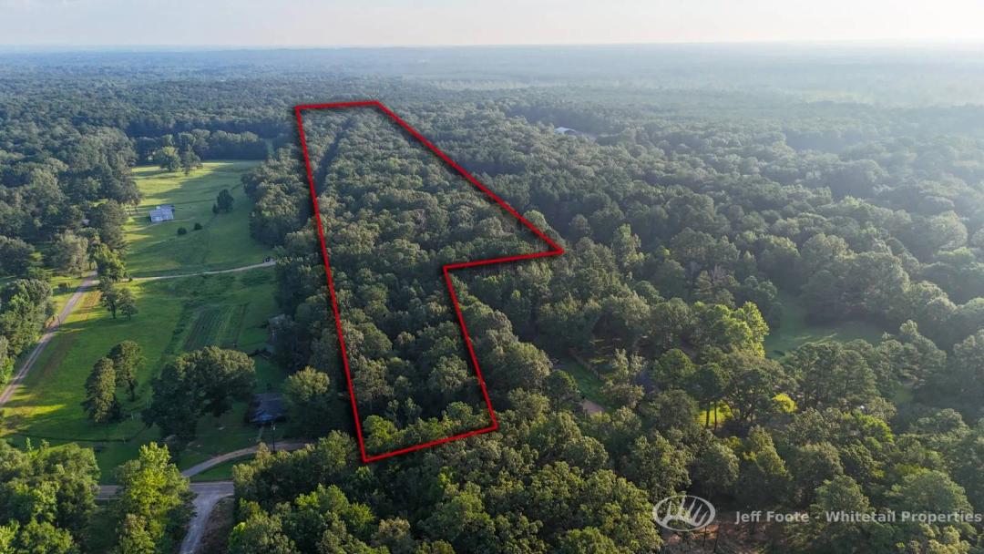 19.9± Acres With Hunting & Homesite Potential In Rankin County