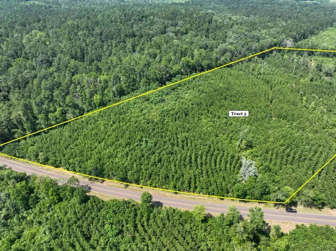 15 Acres | T-5 | State Road 35 | 1018
