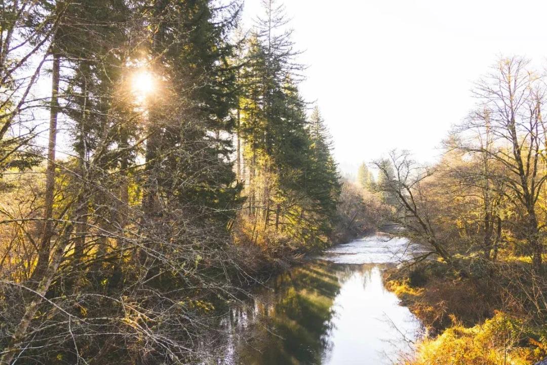 Trapp Creek