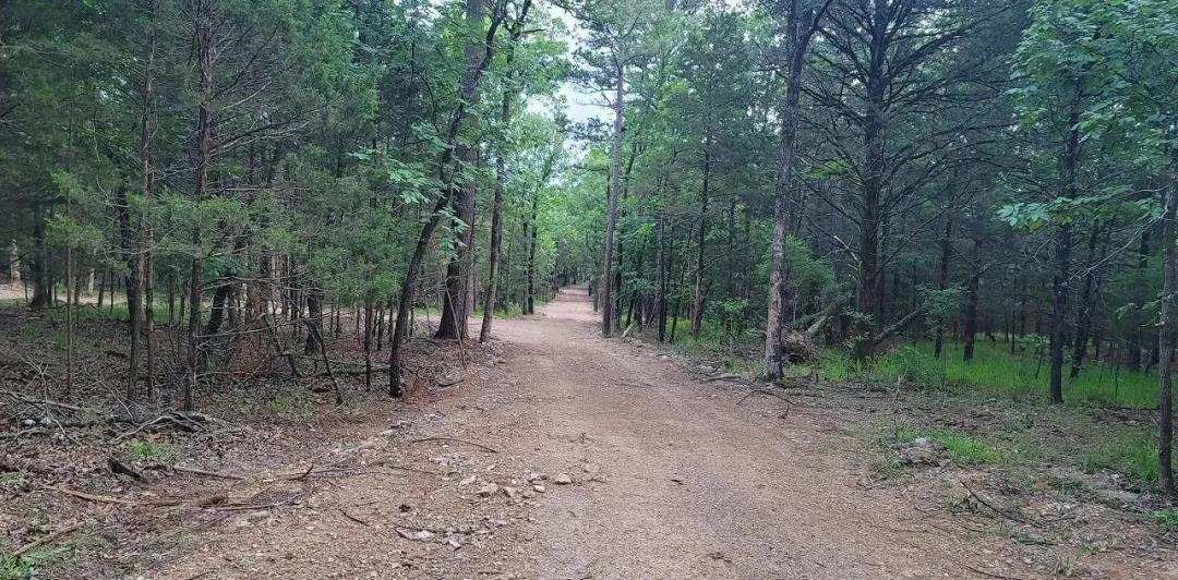 THE VIEWS BY SARDIS LAKE Tracts 1 & 2