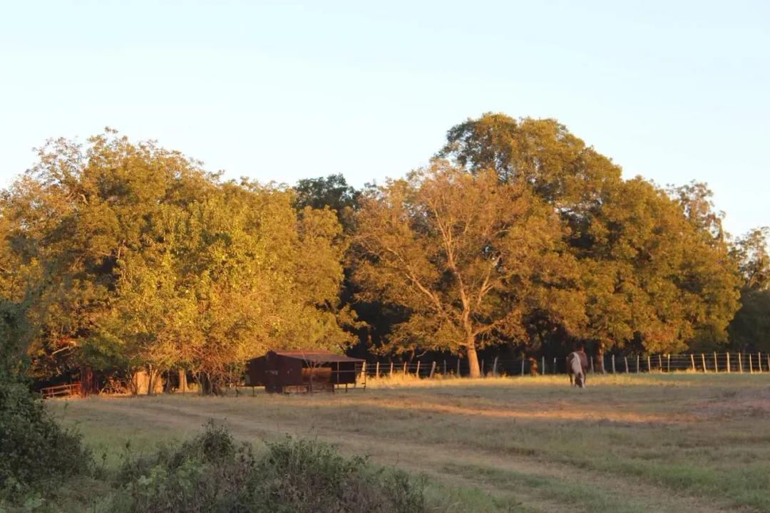Leon Junction Ranch