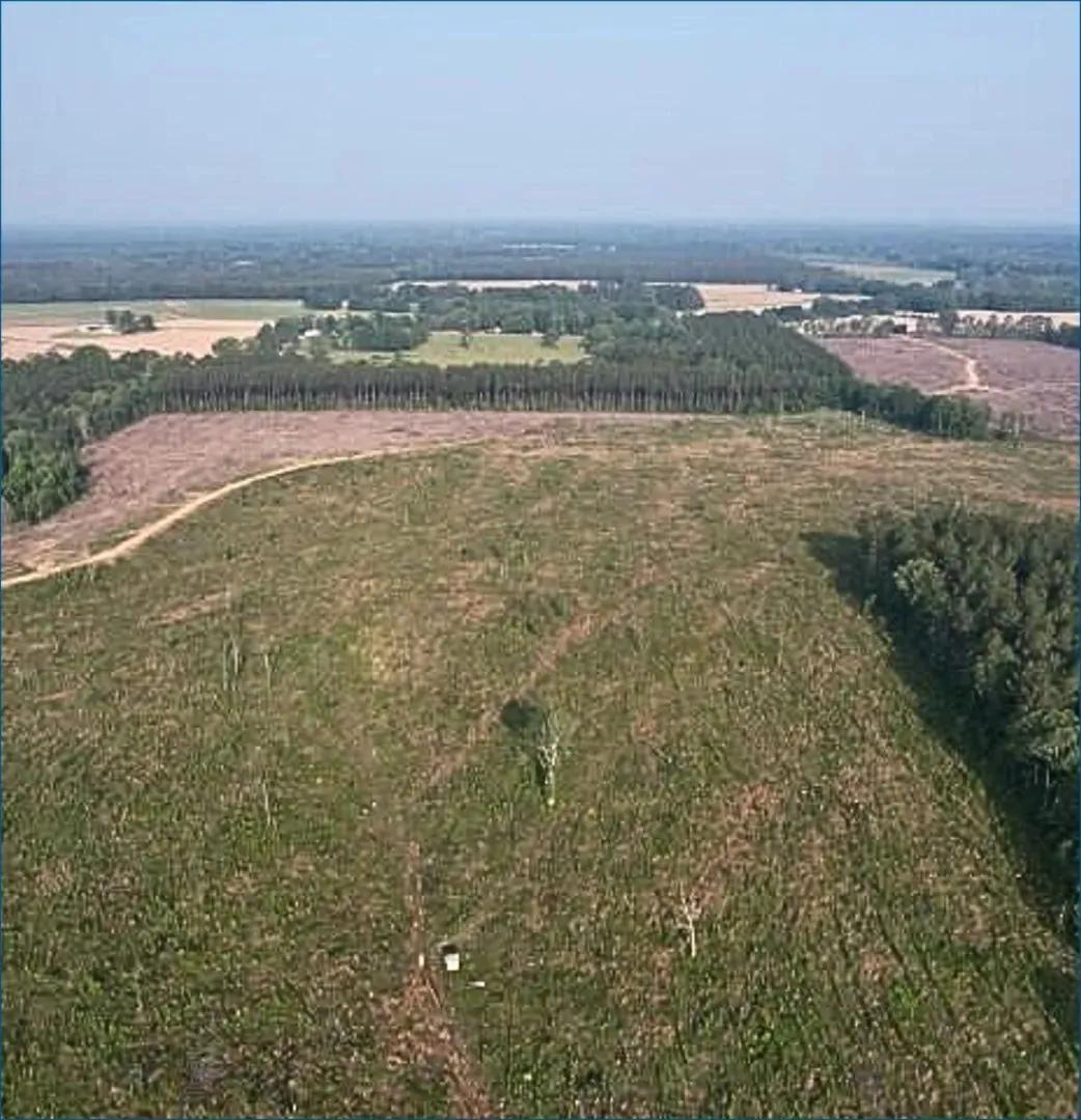 44.7 Acres in Rankin County in Pelahatchie, MS