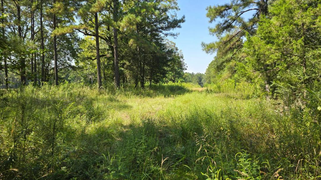 A Slice of Southern Heaven in the Loyd Star School District
