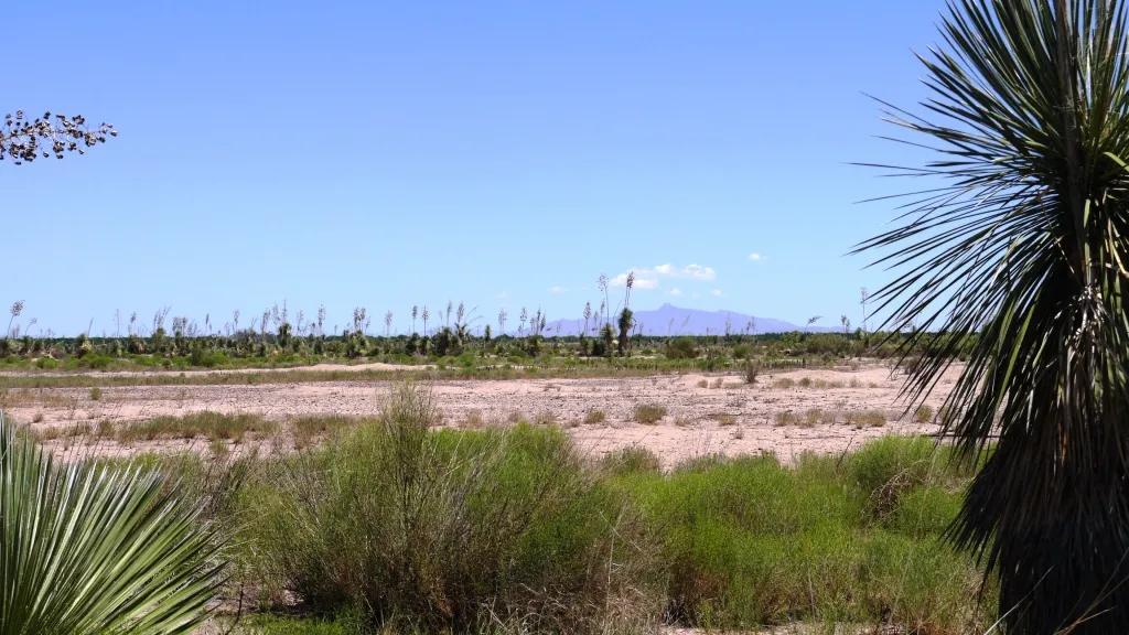 1 acre southern New Mexico * Mobiles and Modulars allowed * 2 adjoining lots