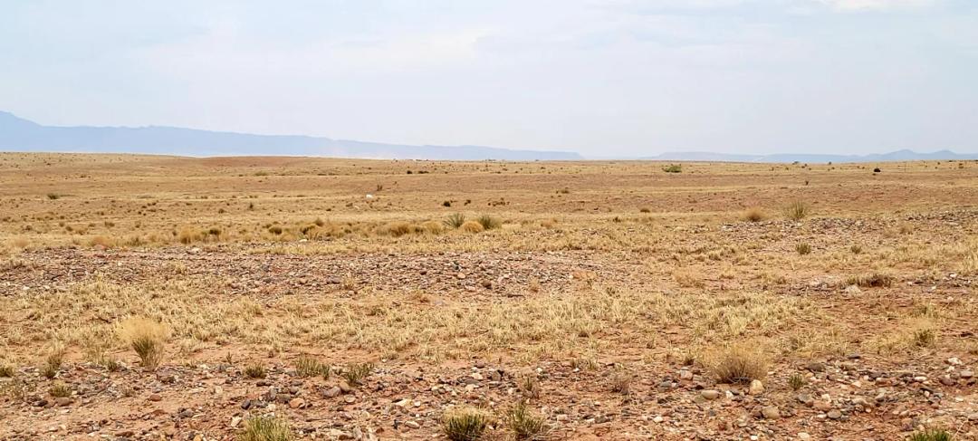 4 Adjoining Lots * Corner Lot * Mobiles, Modulars allowed *Manzano Mountain Views to the east *