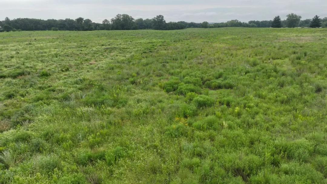 Listing #18512 - 30.83 acres in Jasper County, IA