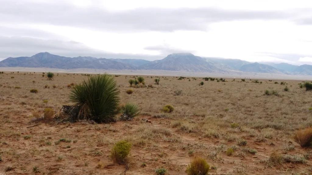 Tierra Grande subdivision * 42 miles south of Albuquerque* Power at Road