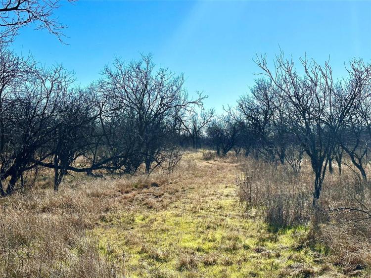 New Listing!!! 20+/- Acres, Brown County