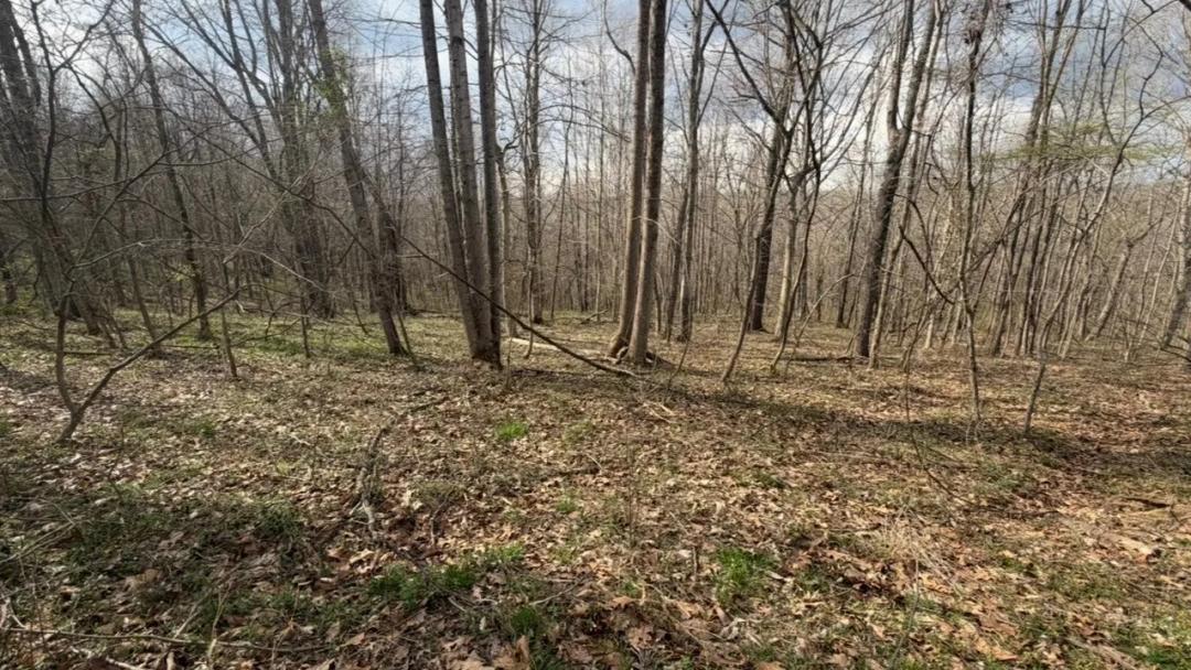 Gallia County Land For Sale