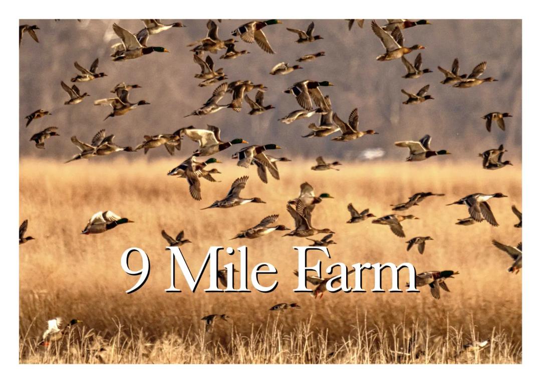 9 Mile Farm