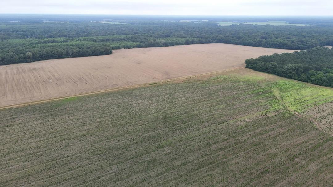 325.00 Acres at 1800 RIver Road