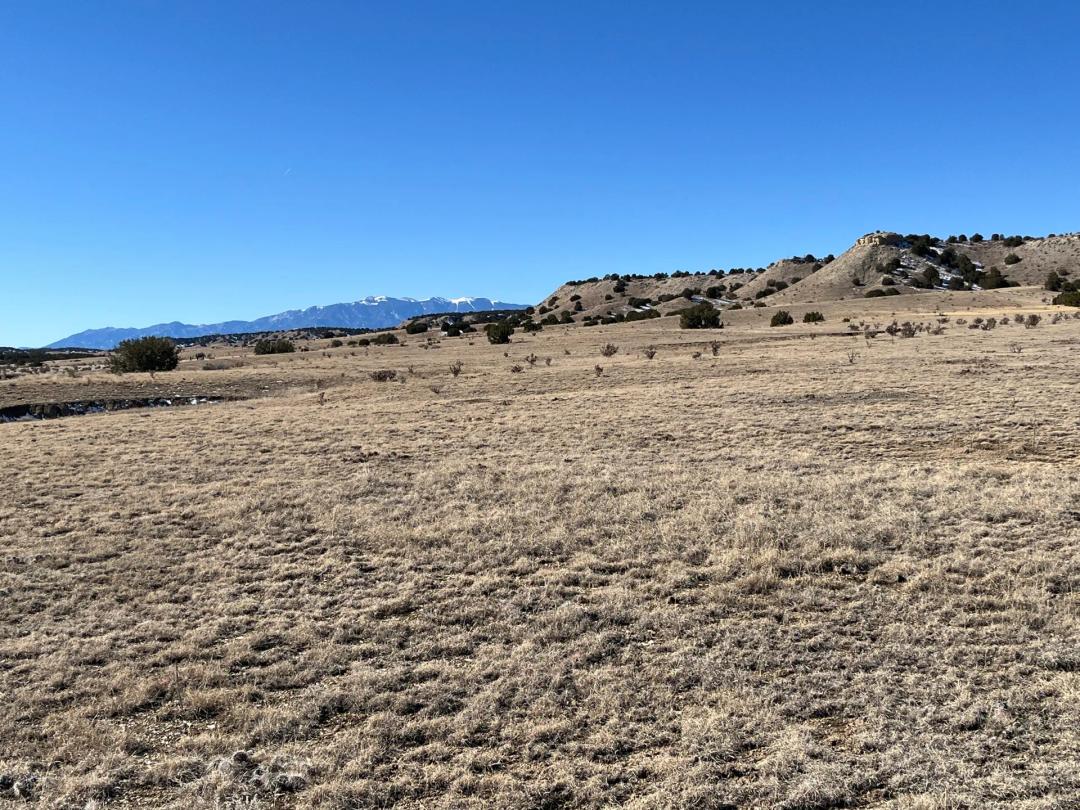 Hatchet Ranch Horse Creek