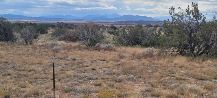 20 acres Scenic New Mexico Huge Southerly Views with Power at the Road