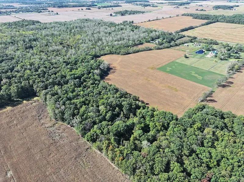 David Lai - 189 Acres