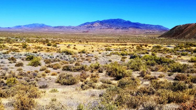 Scenic Nevada Back Country