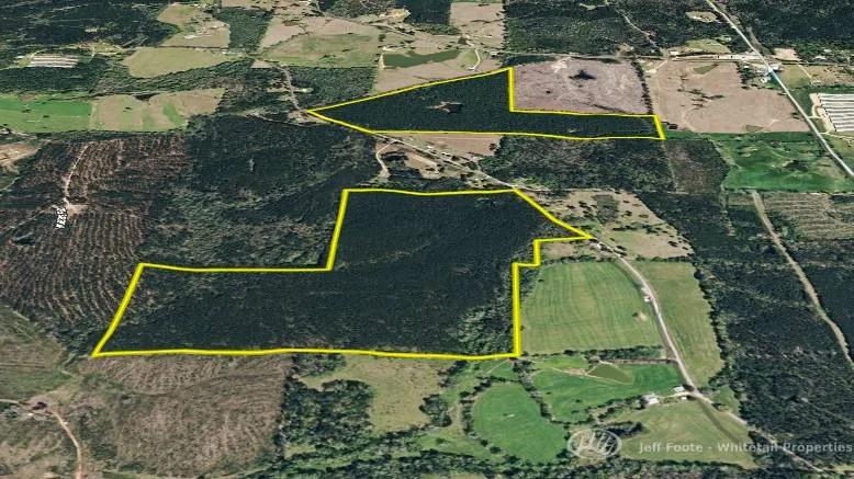 197± Acres Of Recreational Timberland In Simpson County