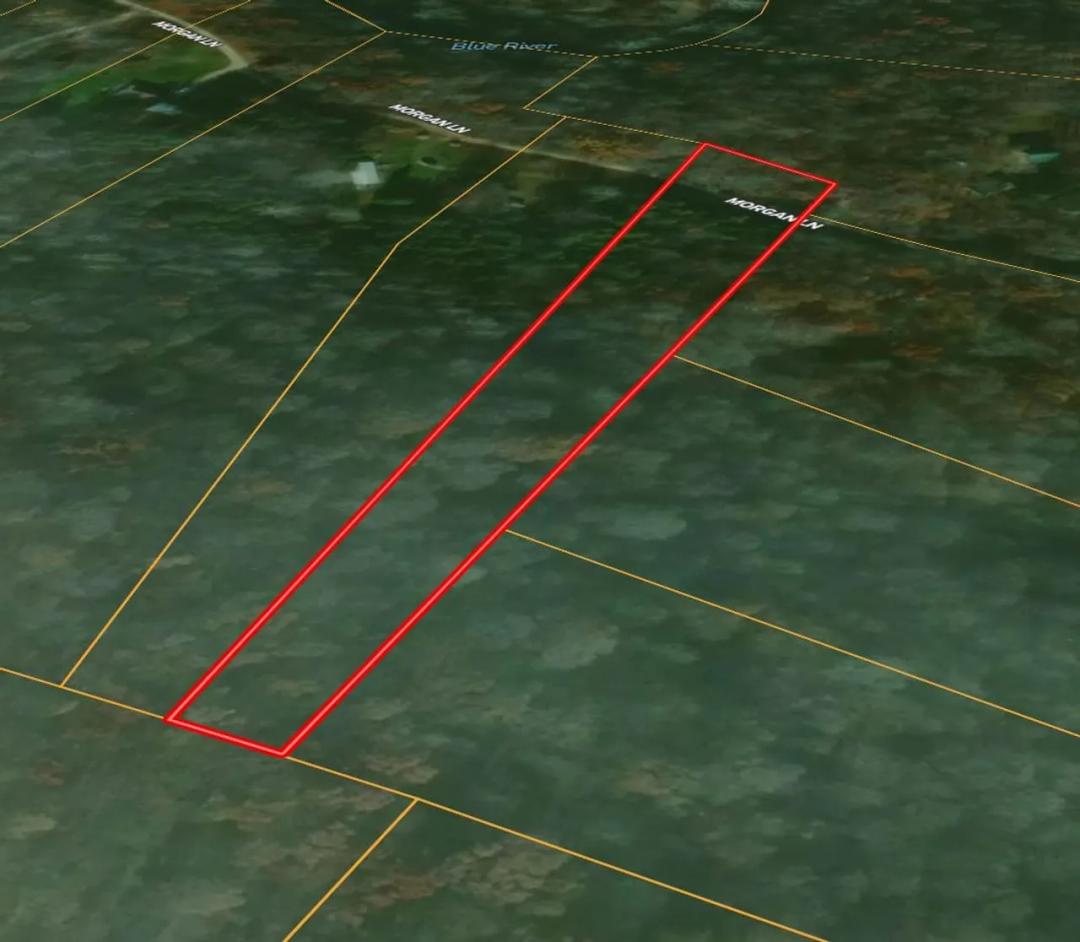 LAND FOR SALE | 3.31+/- ACRES, POSSIBLE BUILDING LOT | WOODED | PEKIN, INDIANA | WASHINGTON COUNTY