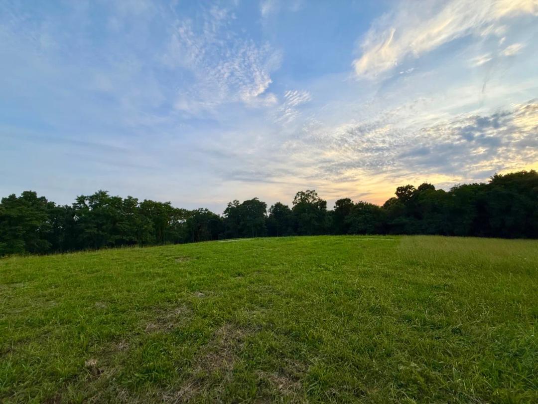 Build ready property on over 9.2 acres!