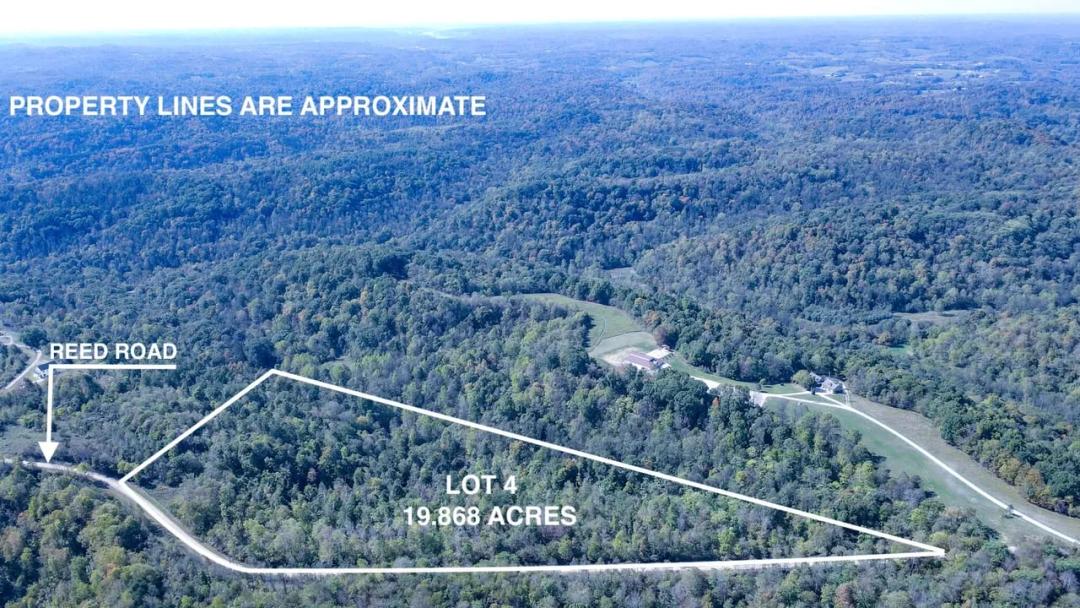 Moss Run Rd Lot 4 - 19 acres - Washington County