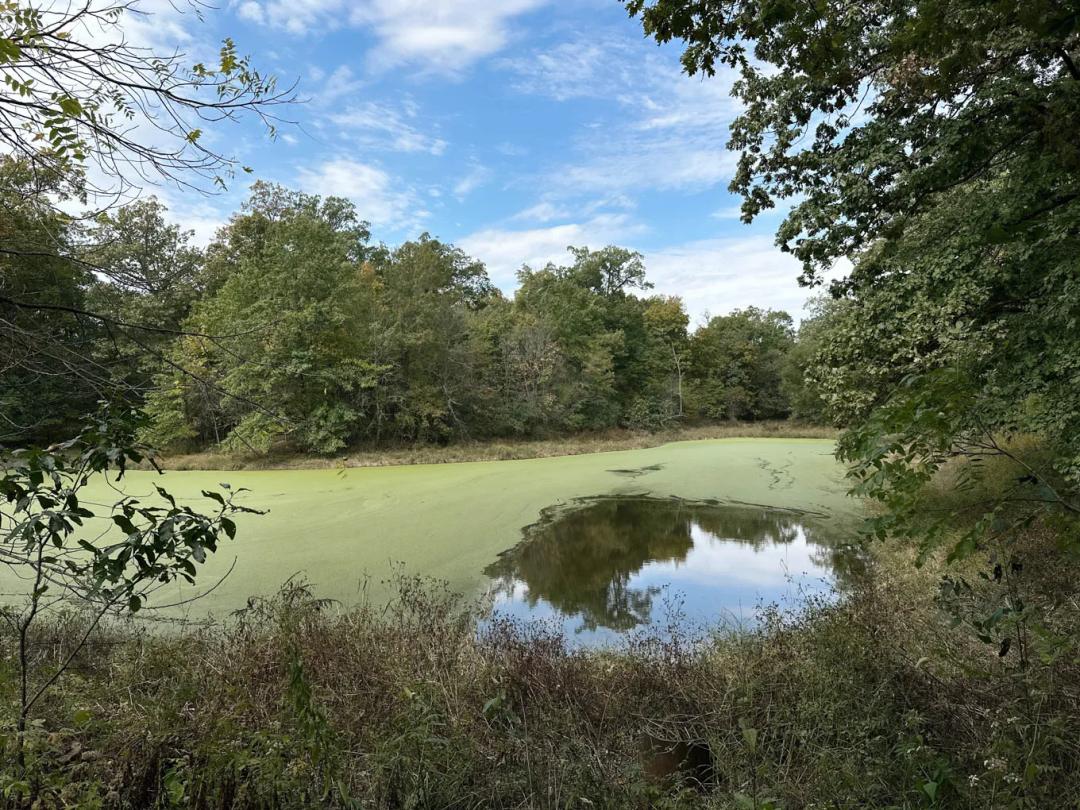 Clark County, Illinois 13 Acres For Sale(SALE PENDING)