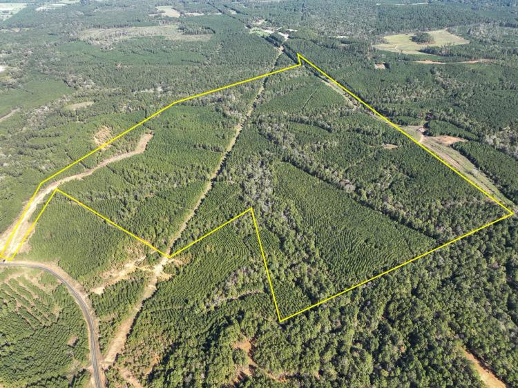 152 Acres | County Road 1060 | T-2