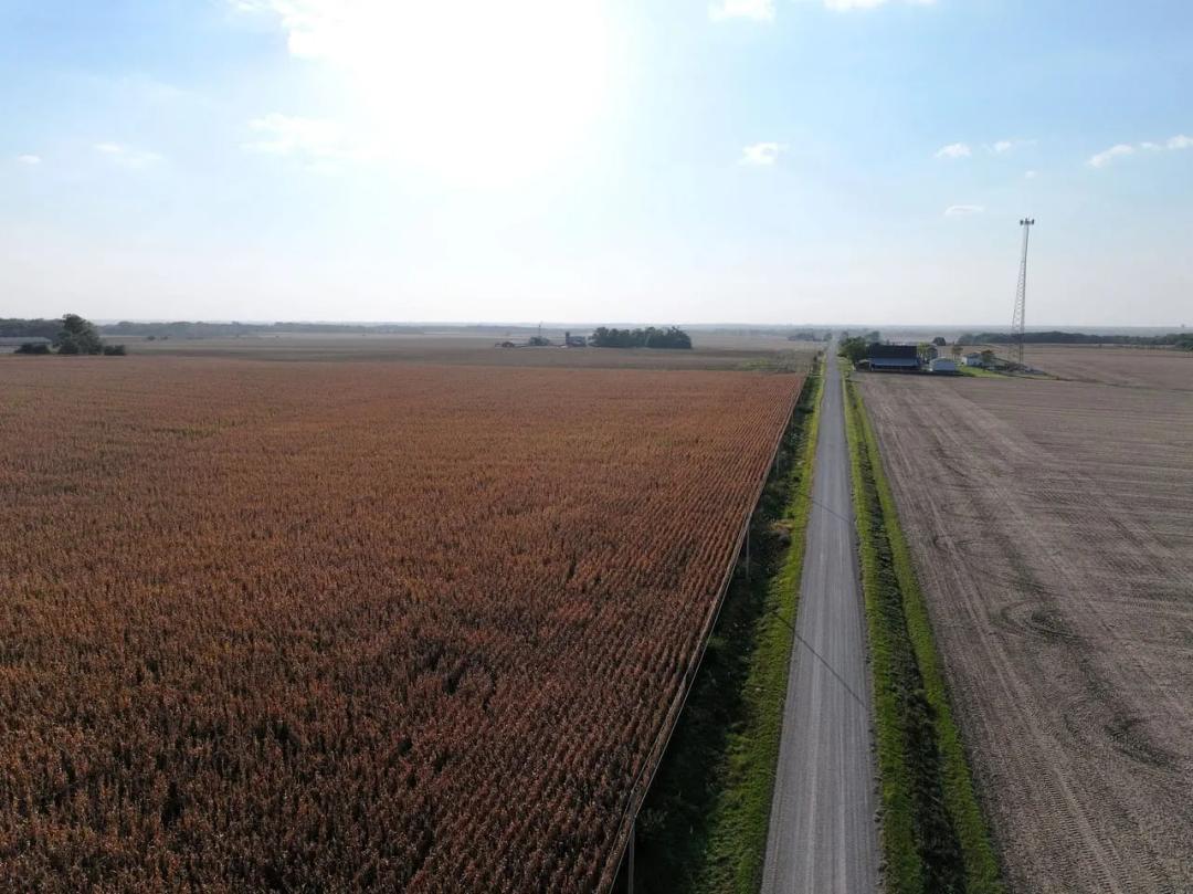 Listing #18656 - 75.98 acres in Black Hawk County, IA