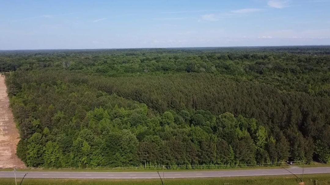 68.09 Ac. Div., Goldston NC. Hunting-Timber-Creek Frontage