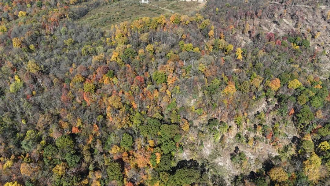 19.00 Acres at 0 Climax Rd