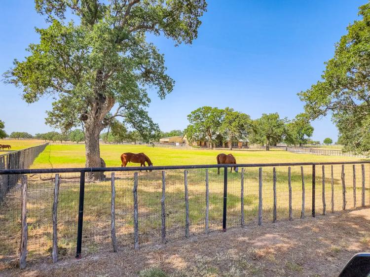 New Property19.92 Acre Beautiful Horse Ranch