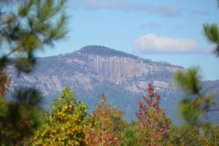 +/- 117.58 Acres - Beautiful Acreage with Incredible views of Table Rock