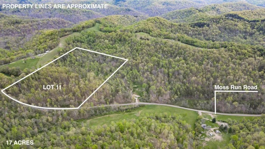 Moss Run Rd Lot 11 - 17 acres - Washington County