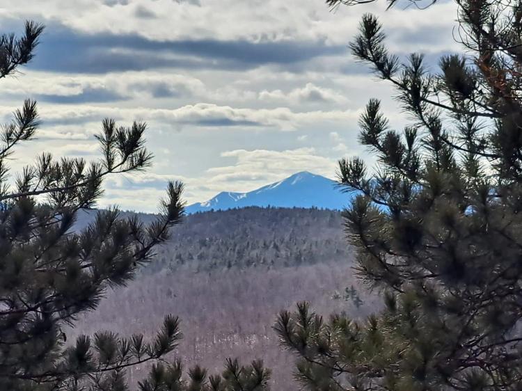 Ausable Mountain Forest