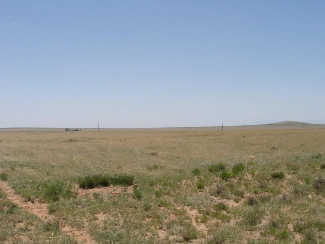 3 adjoining 1 acre Lots Central New Mexico - Mobiles Allowed