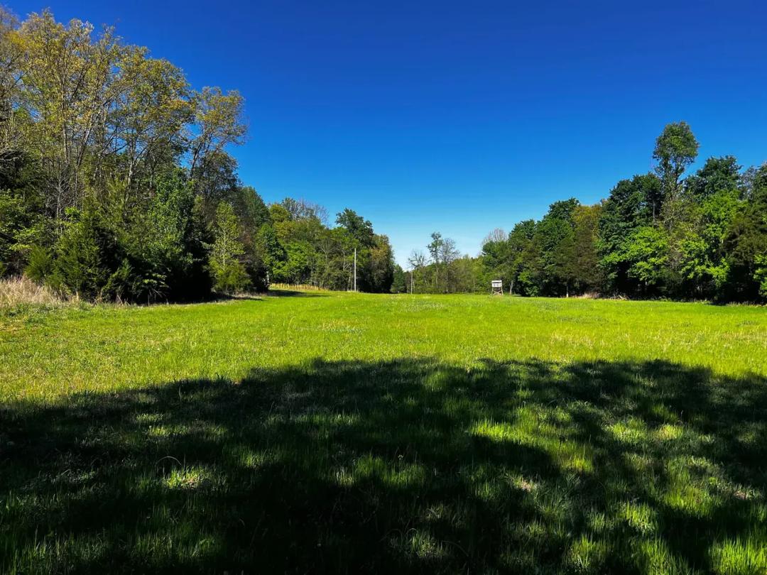 Land For Sale Kentucky 438 acres