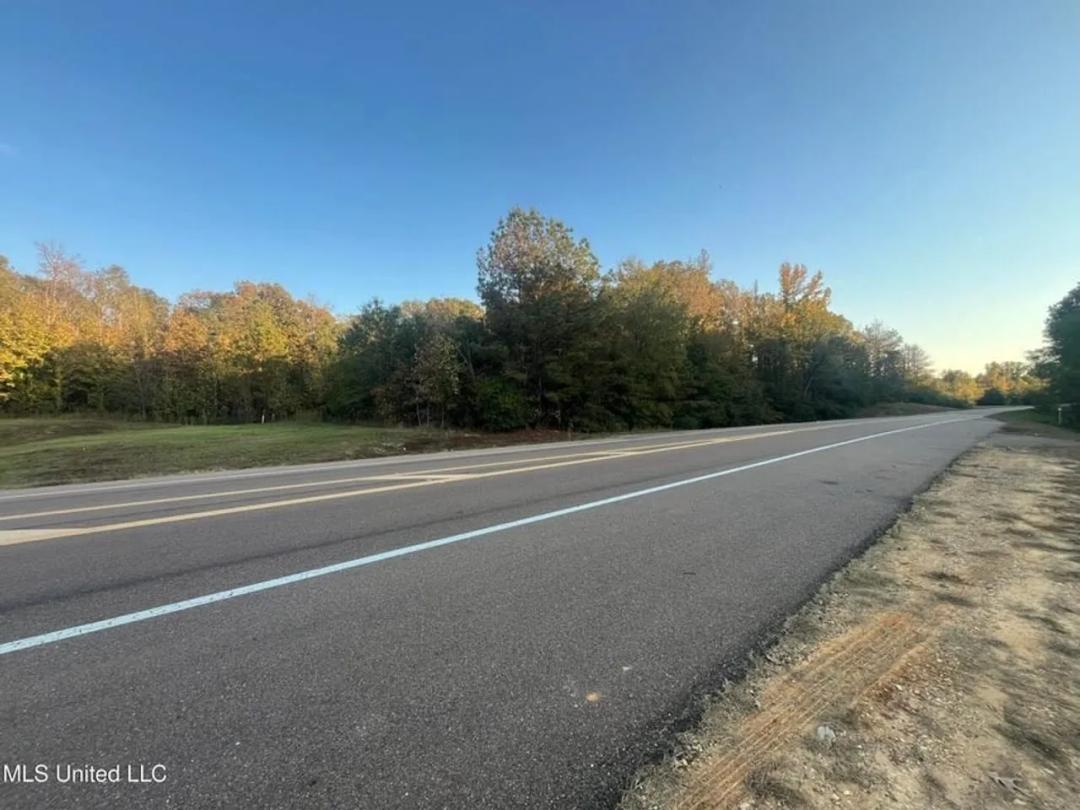 Potential Commercial Property for Sale in Clinton, MS