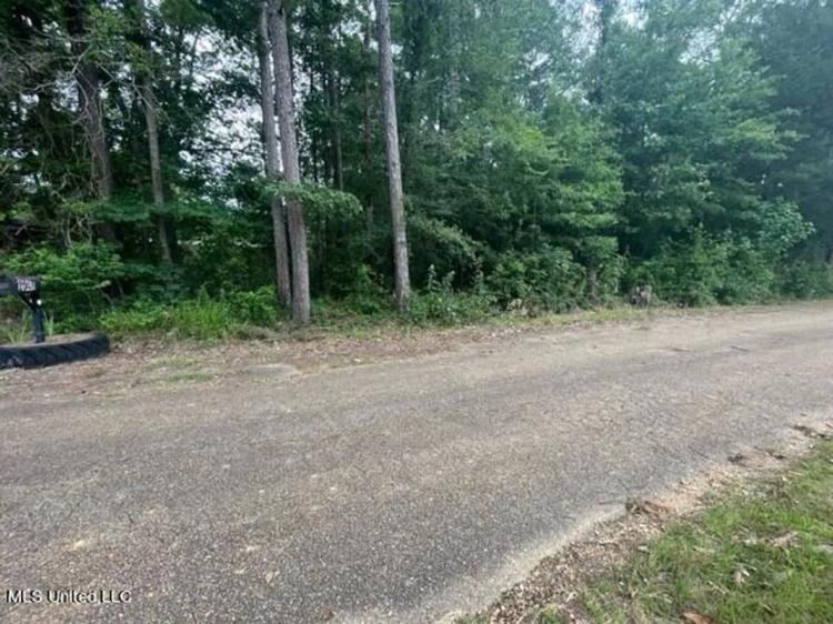 0.18 Acre Lot for Sale Shady Oaks Subdivision, Brandon, MS