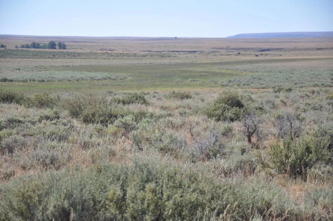 Pole Creek Ranch
