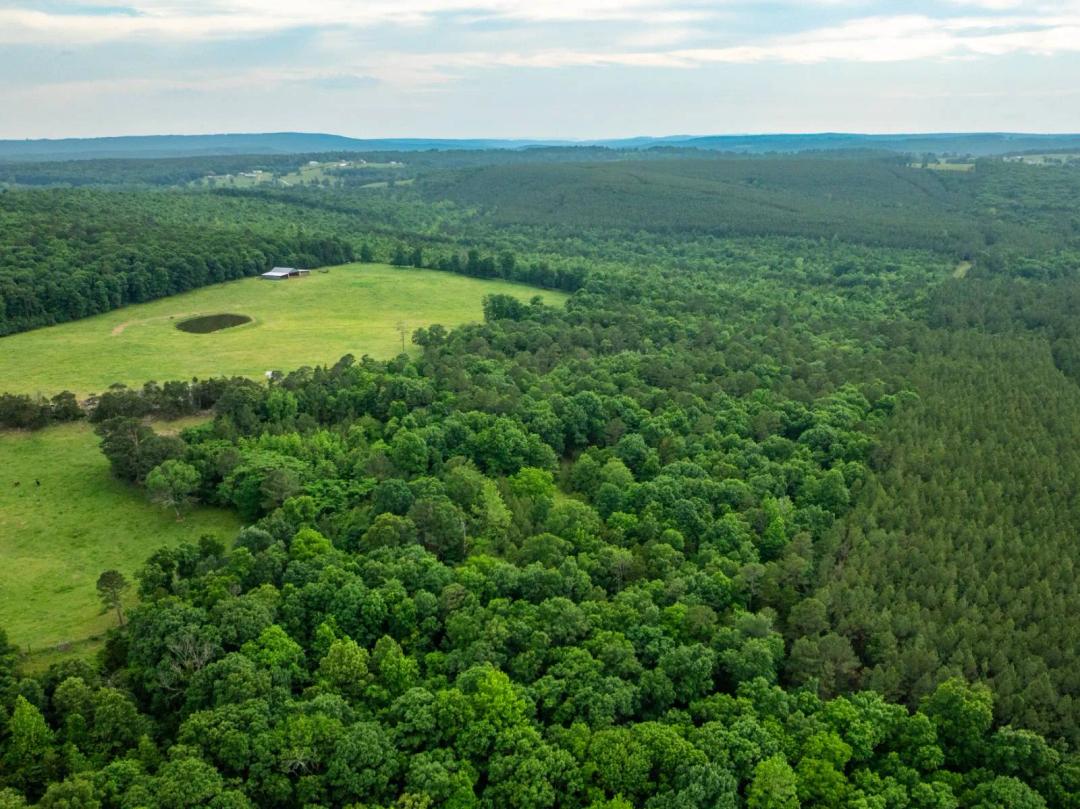 22.00 Acres at 560 Peels Ln