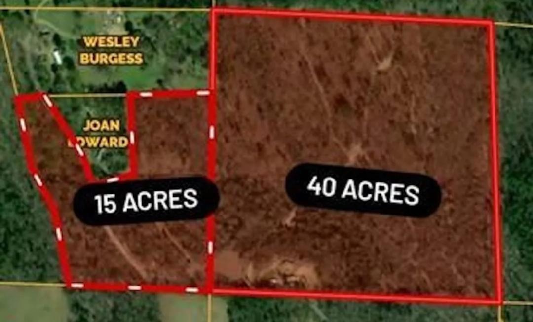 55 acres - 246 Burgess Rd Bonnerdale, AR 71933, Montgomery County